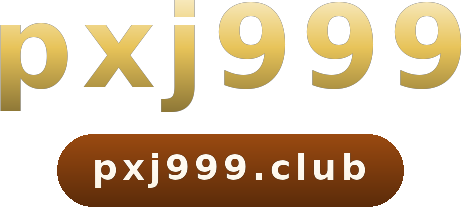 pxj999 โลโก้